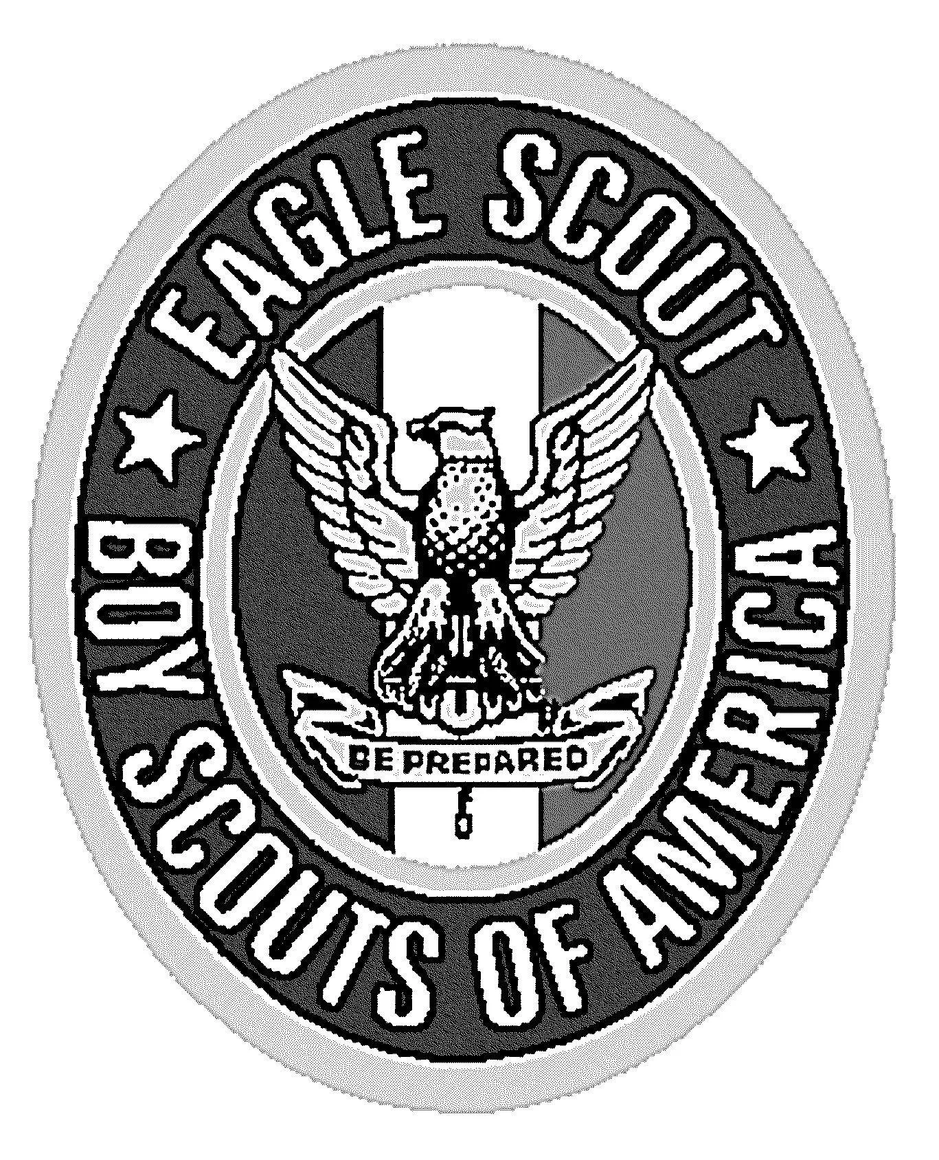 American Bald Eagle Ornament - Great for Eagle Scouts Boy Scouts