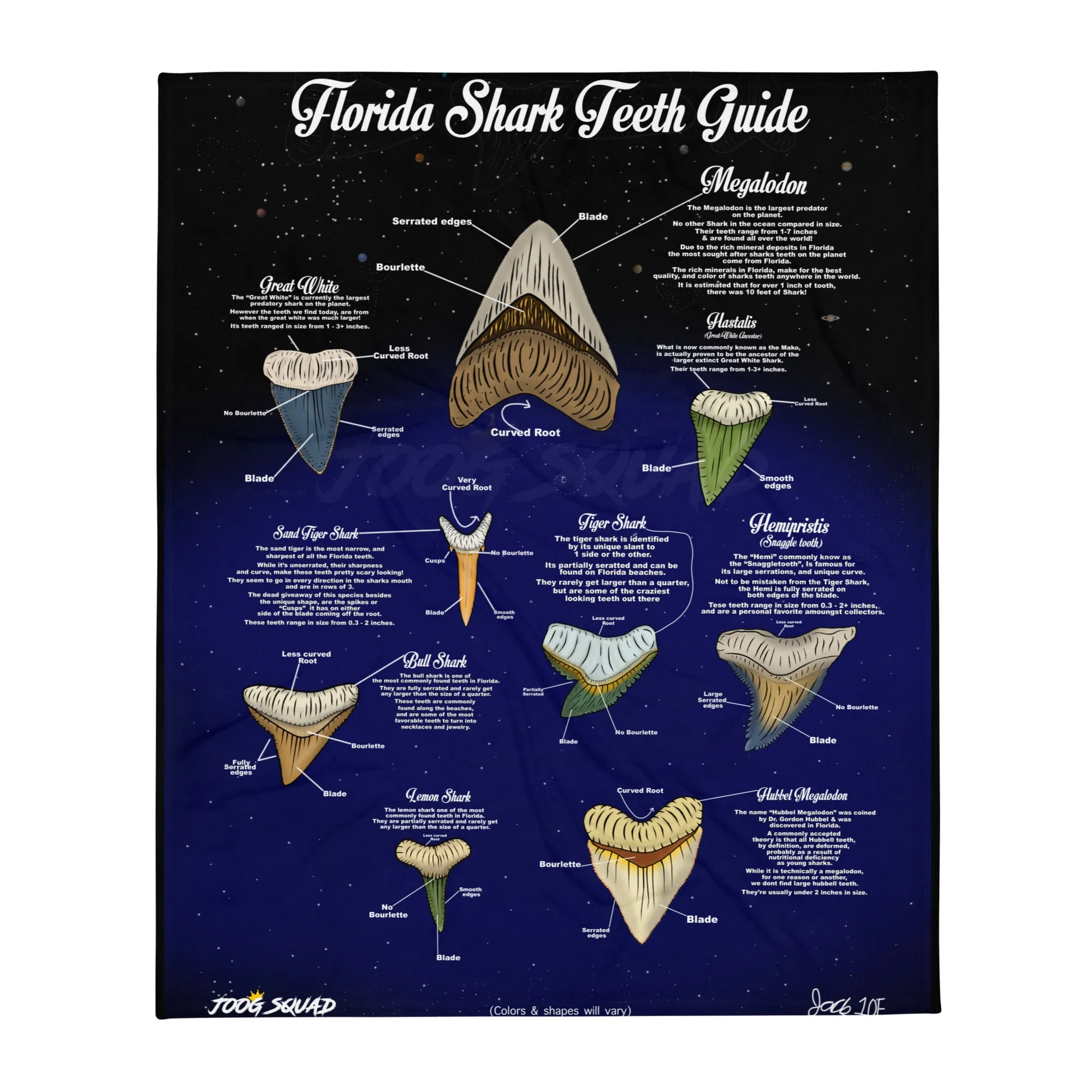 Florida Sharks Teeth Guide Blanket!