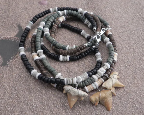 Shark Tooth on Cocco with Puka Accents